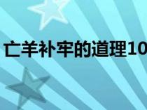 亡羊補(bǔ)牢的道理10字左右（亡羊補(bǔ)牢的道理）