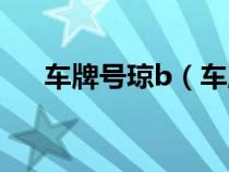 車牌號(hào)瓊b（車牌代碼瓊b歸屬地是哪）