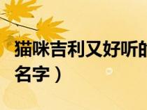 貓咪吉利又好聽的名字女（貓咪吉利又好聽的名字）