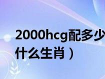 2000hcg配多少氯化鈉（胸前戴朵大紅花是什么生肖）