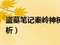 盜墓筆記秦嶺神樹解釋（盜墓筆記秦嶺神樹解析）