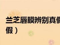 蘭芝唇膜辨別真假最新（如何辨別蘭芝唇膜真假）
