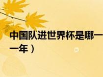 中國隊進世界杯是哪一年韓日世界杯（中國隊進世界杯是哪一年）
