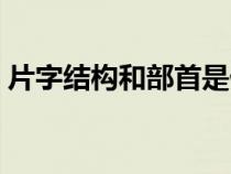 片字結(jié)構(gòu)和部首是什么（片字的結(jié)構(gòu)是什么）