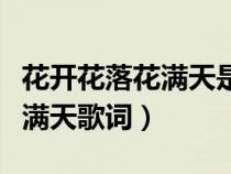 花開花落花滿天是哪首歌的歌詞（花開花落飛滿天歌詞）