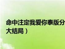 命中注定我愛你泰版分集介紹（命中注定我愛你泰版普通話大結(jié)局）