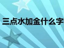 三點水加金什么字啥梗（三點水加金什么字）