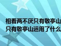 相看兩不厭只有敬亭山表達了詩人怎樣的情感（相看兩不厭只有敬亭山運用了什么修辭手法）