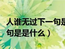 人誰無過下一句是是什么成語（人誰無過下一句是是什么）