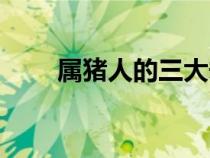 屬豬人的三大劫難（屬豬的三大坎）