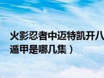 火影忍者中邁特凱開八門是第幾集（火影忍者邁特凱開八門遁甲是哪幾集）