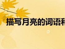 描寫月亮的詞語和詩句（描寫月亮的詞語）