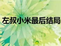 左叔小米最后結(jié)局（左叔小米是什么電視?。? title=