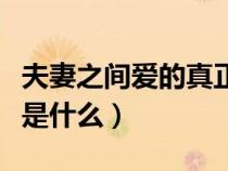 夫妻之間愛的真正含義是什么（愛的真正含義是什么）