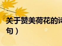 關(guān)于贊美荷花的詩句古詩（關(guān)于贊美荷花的詩句）