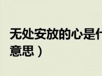 無處安放的心是什么意思（無處安放的心什么意思）