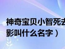神奇寶貝小智死去片段（神奇寶貝小智死去電影叫什么名字）