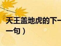 天王蓋地虎的下一句怎么接（天王蓋地虎的下一句）