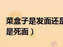 菜盒子是發(fā)面還是死面好吃（菜盒子是發(fā)面還是死面）