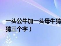 一頭公牛加一頭母牛猜三個(gè)字是什么（一頭公牛加一頭母牛猜三個(gè)字）