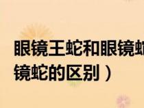 眼鏡王蛇和眼鏡蛇的區(qū)別新聞（眼鏡王蛇和眼鏡蛇的區(qū)別）