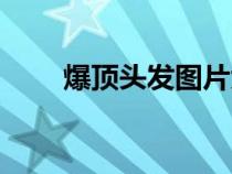 爆頂頭發(fā)圖片大全（暴頂什么意思）