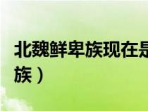 北魏鮮卑族現(xiàn)在是什么族（鮮卑族現(xiàn)在是什么族）