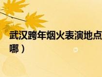 武漢跨年煙火表演地點(diǎn)在哪舉行（武漢跨年煙火表演地點(diǎn)在哪）