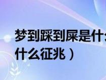 夢到踩到屎是什么征兆 男性（夢到踩到屎是什么征兆）