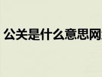 公關(guān)是什么意思網(wǎng)絡(luò)用語（公關(guān)是什么意思）