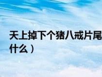 天上掉下個(gè)豬八戒片尾曲合唱（天上掉下個(gè)豬八戒主題曲是什么）