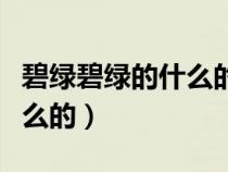 碧綠碧綠的什么的類似的詞語（碧綠碧綠的什么的）