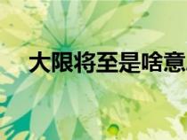 大限將至是啥意思（大限將至什么意思）