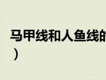 馬甲線和人魚線的區(qū)別（女生的人魚線在哪里）