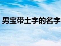 男寶帶土字的名字（男孩帶土字寓意好的字）