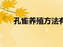 孔雀養(yǎng)殖方法有哪些(孔雀養(yǎng)殖方法) 孔雀養(yǎng)殖方法有哪些(孔雀養(yǎng)殖方法)