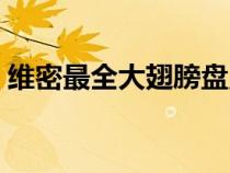 維密最全大翅膀盤(pán)點(diǎn)（維密翅膀是干什么的）