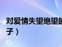 對愛情失望絕望的說說（對愛情失望無奈的句子）