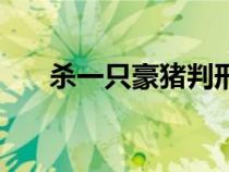 殺一只豪豬判刑多久（豪豬長(zhǎng)什么樣）