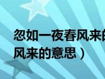 忽如一夜春風(fēng)來(lái)的意思是什么?（忽如一夜春風(fēng)來(lái)的意思）