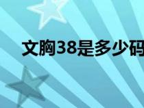 文胸38是多少碼（文胸38b是什么尺碼）