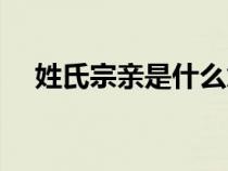 姓氏宗親是什么意思（宗親是什么意思）