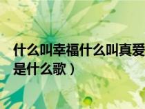 什么叫幸福什么叫真愛是什么歌詞（什么叫幸福什么叫真愛是什么歌）