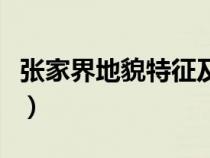 張家界地貌特征及成因分析（張家界地貌特點(diǎn)）