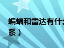 蝙蝠和雷達(dá)有什么關(guān)系?(蝙蝠和雷達(dá)有啥關(guān)系) 蝙蝠和雷達(dá)有什么關(guān)系?(蝙蝠和雷達(dá)有啥關(guān)系)