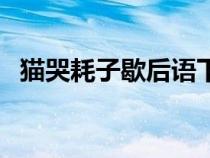 貓哭耗子歇后語(yǔ)下一句（貓哭耗子歇后語(yǔ)）