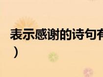 表示感謝的詩(shī)句有哪些（盤點(diǎn)表示感謝的詩(shī)句）