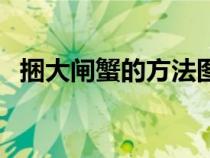 捆大閘蟹的方法圖（捆大閘蟹的正確方法）
