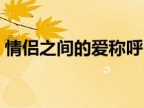情侶之間的愛稱呼（情侶之間的愛稱有哪些）