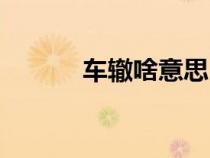 車轍啥意思（車轍是什么意思）